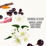 بادی میست آبی سول دوژانیرو