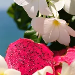 بادی اسپری صورتی سول دو ژانیرو