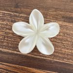 کلیپس طرح گل