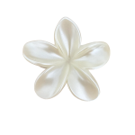 کلیپس طرح گل پلومریا