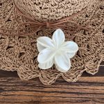 کلیپس کو سفید