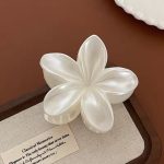 کلیپس مو فانتزی سفید