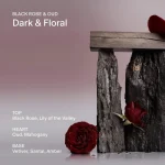 دئودورانت سالت اند استون مدل Black Rose & Oud - Image 3