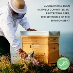 روغن صورت جوانساز ابیل رویال گرلین - Image 5